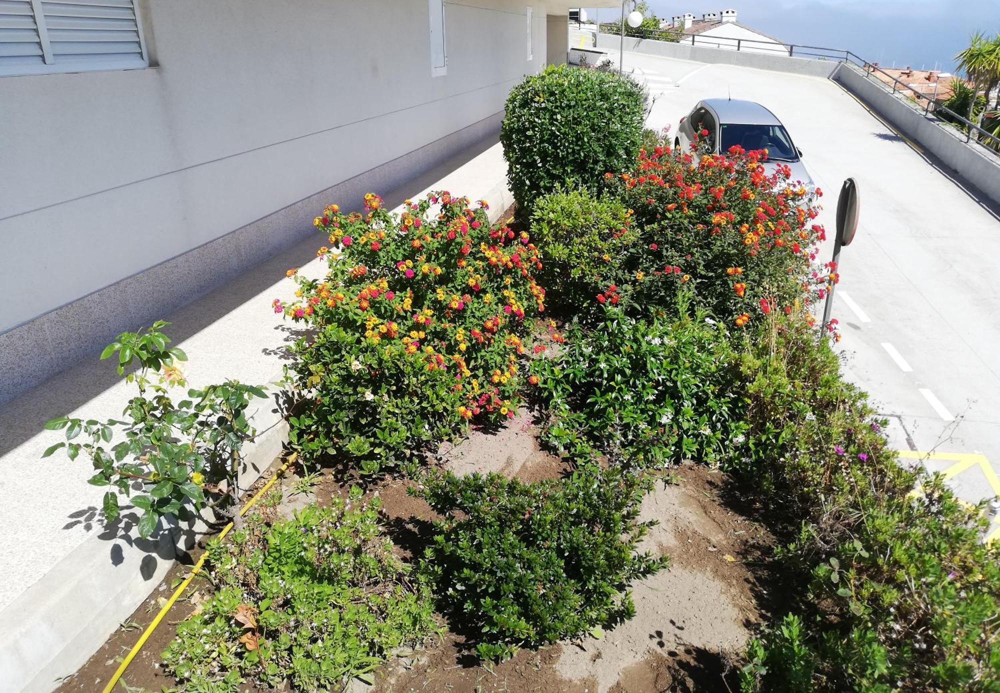 Duplex Alva Appartement Baiona Buitenkant foto
